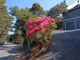 steep driveway