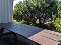 picnic table on back deck